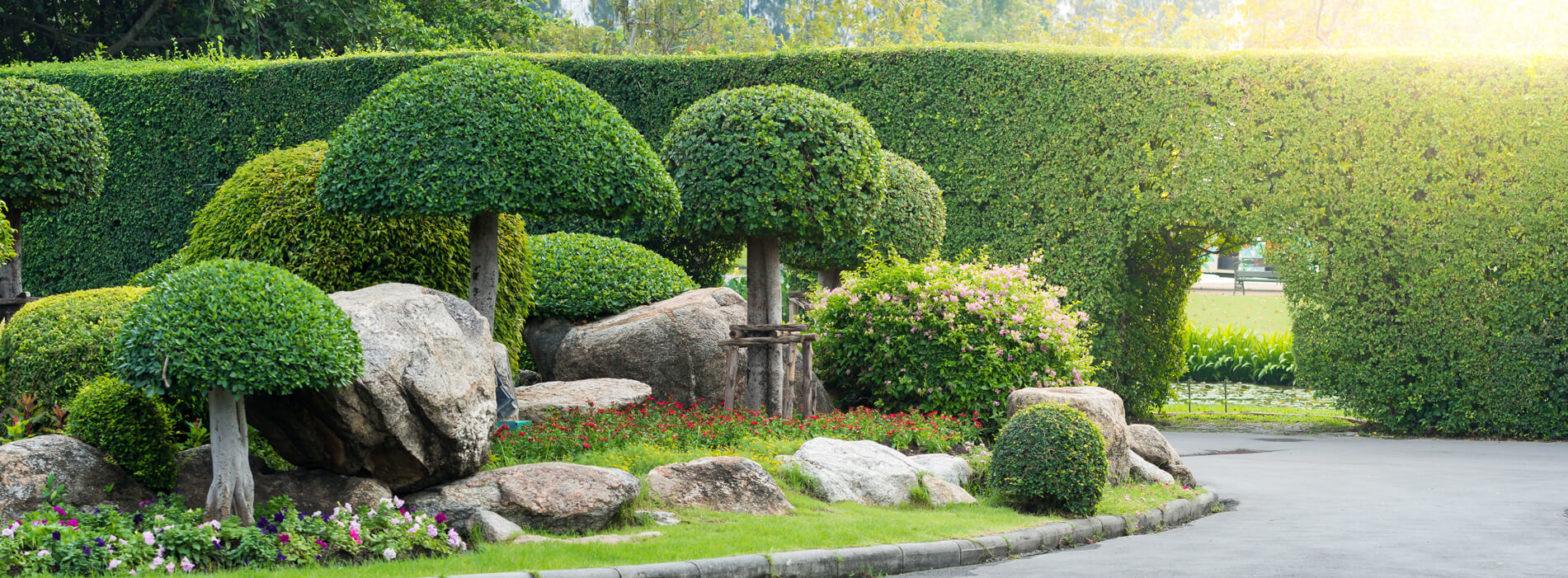 Landscape Companies in the UAE